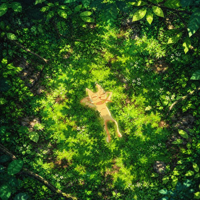 An illustrated orange cat lying contentedly on its back in a lush green grassy clearing dappled with sunlight, surrounded by trees.
