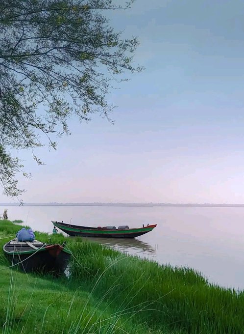 Two wooden boats moored along a grassy shoreline beside a calm lake at dusk, with tree branches framing the upper left.