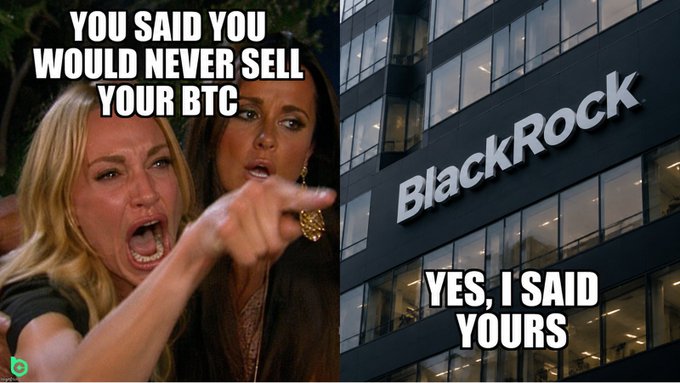 The image features two women pointing at a building with the words "BlackRock" written on it, as well as a caption below them that reads "You said you would never sell your BTC. I said yes, I said yours". The focus of this image is on the juxtaposition between the statement about selling Bitcoin and the actual content displayed in the image.