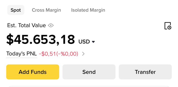 The image features a screenshot of an app displaying information about money transactions. The main focus of the image is the amount of $45,663.18 that has been transferred from one account to another. This transaction takes place at Today's PML on a foreign exchange platform like BOLAQPY, and it was confirmed after being posted for 24 hours. The users of this app seem to be interested in foreign exchanges or international money transfers.