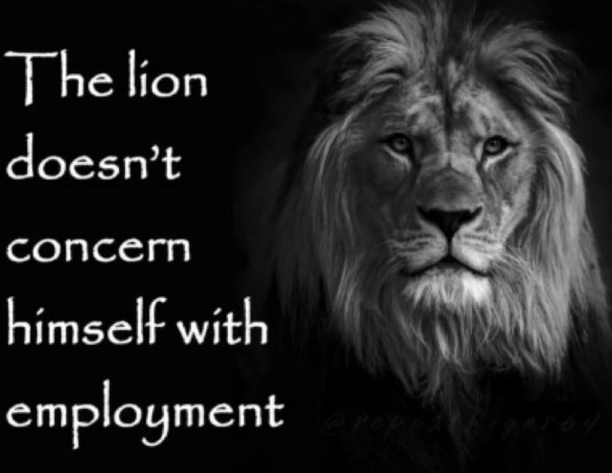 A black and white image of a lion with the text 'The lion doesn't concern himself with employment' alongside a faint watermark '@respectfully64'.