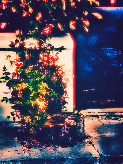 An artistic, high-contrast photograph of a potted plant with green and red-orange leaves next to a building corner, rendered with vivid, saturated colors.
