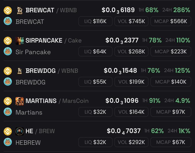 A cryptocurrency market dashboard showing meme tokens including BREWCAT/WBNB ($0.036189, +68%), SIRPANCAKE/Cake ($0.032377, +78%), BREWDOG/WBNB ($0.031548, +76%), MARTIANS/MarsCoin ($0.031096, +91%), and HE/BREW ($0.047037, +62%), displaying their liquidity, volume, and market cap figures.