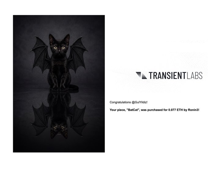 Transient Labs NFT announcement congratulating @GuiYildiz for 'BatCat', purchased for 0.077 ETH by Ronin3, featuring an image of a black kitten with bat wings.