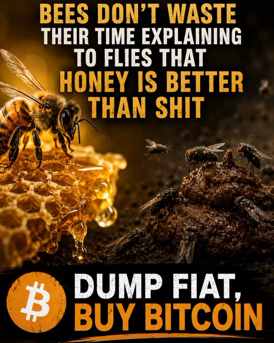 The image features a honeybee with its wings spread wide over some honeycomb. Below the honeybee, there's an advertisement for Bitcoin that reads "Dump flat, buy Bitcoin". The text encourages people to focus their energy on adopting Bitcoin rather than engaging in debates about fiat currency systems or defending them against those who want to dump them.