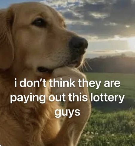 A golden retriever resting its chin on its paw against a sunset background with the text 'i don't think they are paying out this lottery guys'.