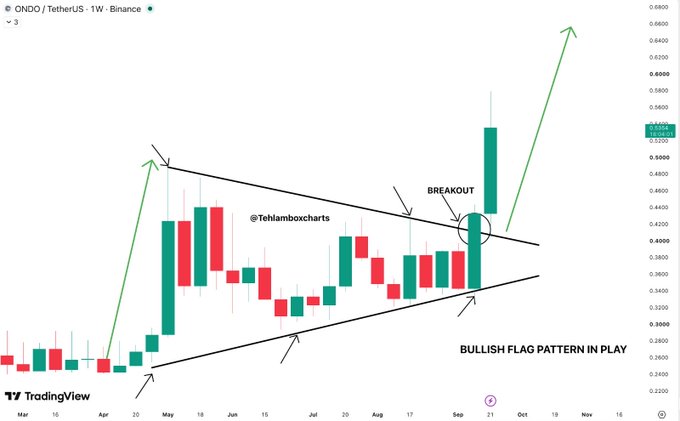 ONDO/USDT weekly chart highlighting a 'BULLISH FLAG PATTERN IN PLAY' with a breakout point circled near the top of the flag.