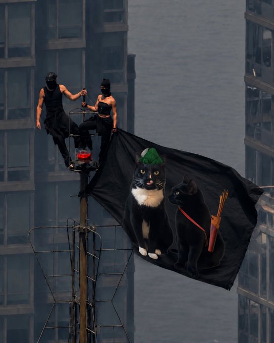 Two people in black masks and dark clothing stand atop a tall pole in an urban setting, waving a black flag featuring illustrations of two cats—one wearing a green jester hat and the other carrying a quiver of arrows.
