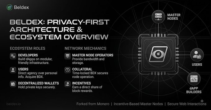 An infographic titled 'BELDEX: PRIVACY-FIRST ARCHITECTURE & ECOSYSTEM OVERVIEW' details ecosystem roles and network mechanics.