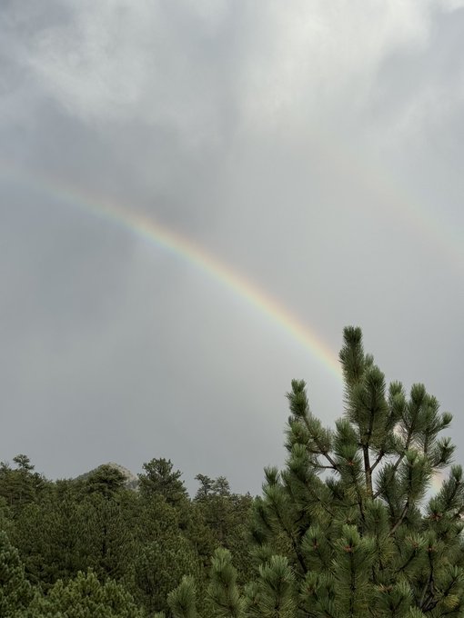 A rainbow arching across a cloudy gray sky above a forest of pine trees.