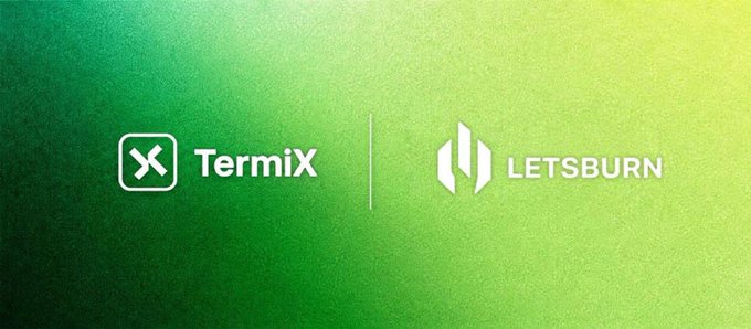 A green gradient banner displaying the white logos and text 'TermiX' and 'LETSBURN' side by side, separated by a thin vertical line.