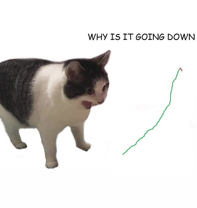 A meme featuring a black and white cat with an open-mouthed, shocked expression next to a green line graph trending upward, with the text 'WHY IS IT GOING DOWN'.