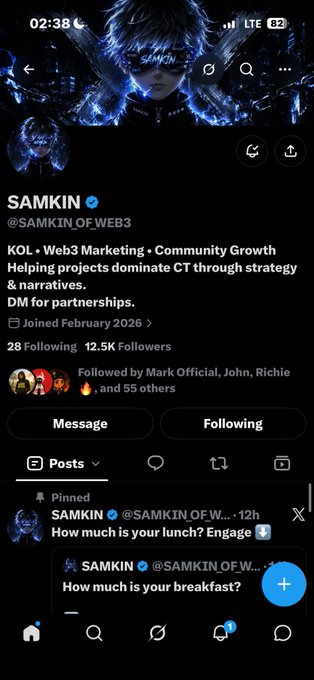 Screenshot of X/Twitter profile for 'SAMKIN @SAMKIN_OF_WEB3' describing themselves as 'KOL • Web3 Marketing • Community Growth' with 12.5K Followers.