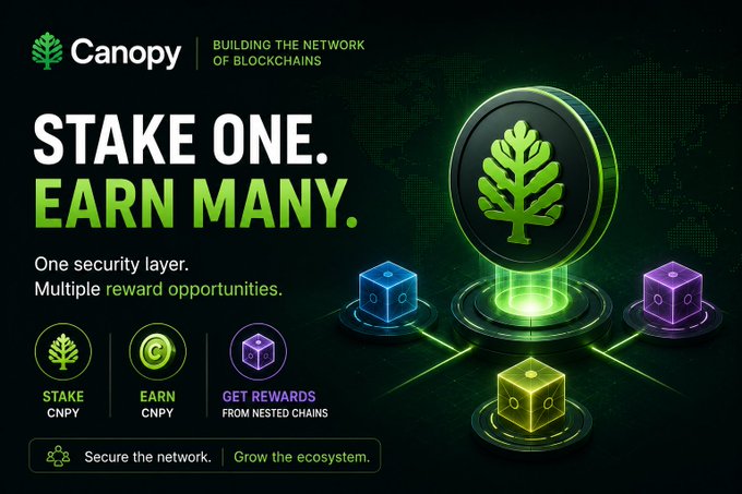 A Canopy promotional graphic with the tagline 'STAKE ONE. EARN MANY,' advertising staking CNPY for rewards from nested chains.
