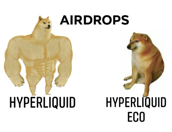 A meme showing a muscular Doge labeled 'HYPERLIQUID' next to a crying Doge labeled 'HYPERLIQUID ECO' with the text 'AIRDROPS' at the top.