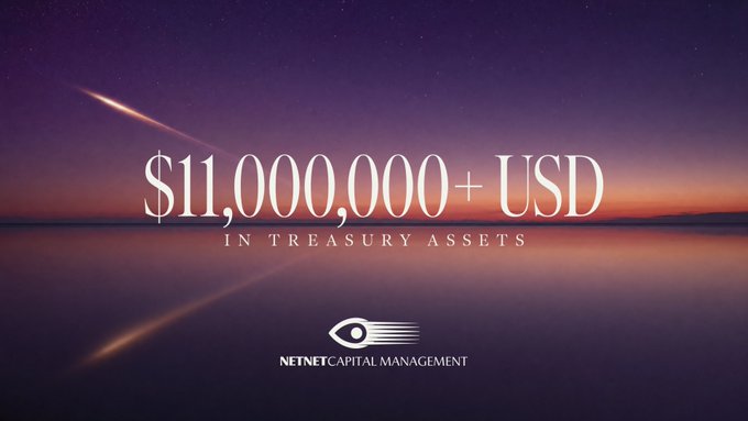 An advertisement for NETNET CAPITAL MANAGEMENT displaying '$11,000,000+ USD IN TREASURY ASSETS' against a sunset landscape.