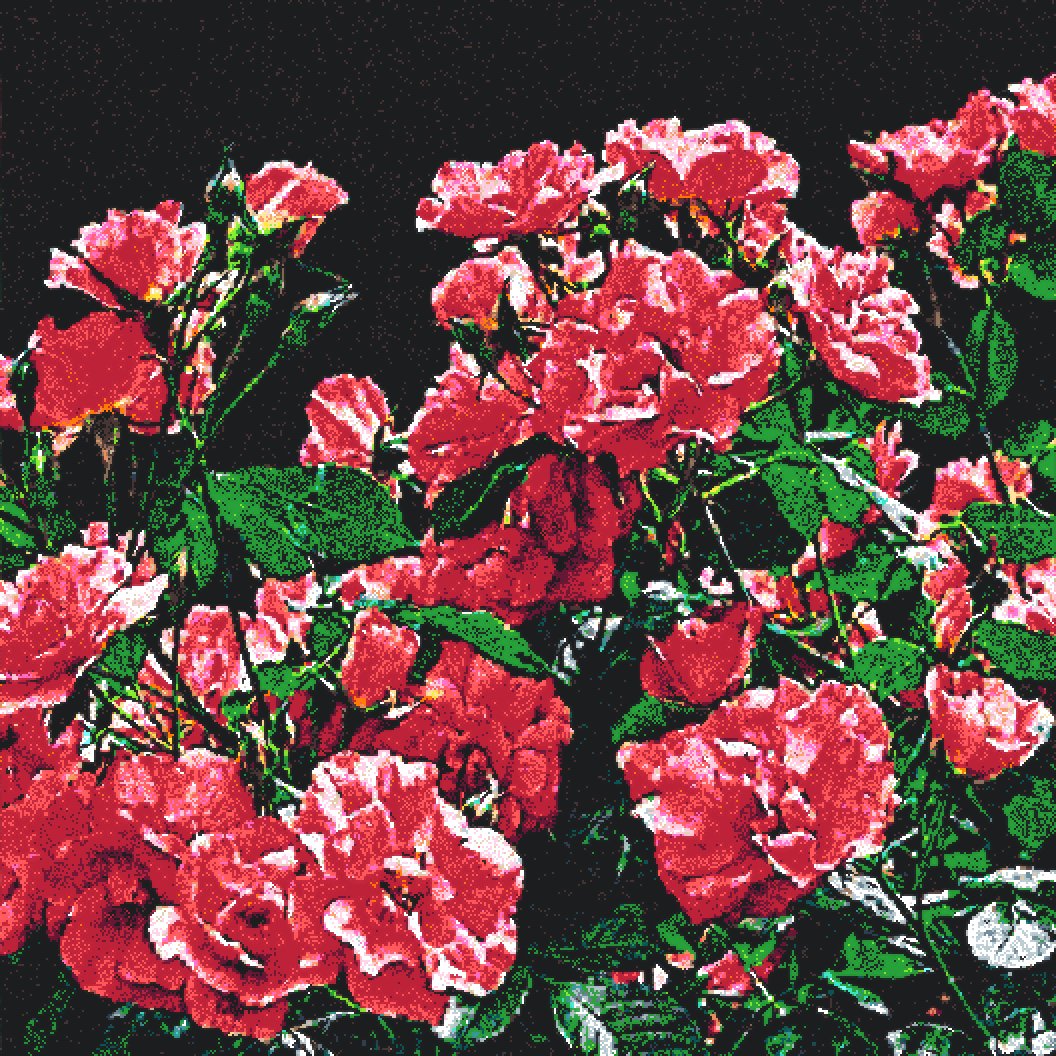 The image features a close-up view of a field filled with red flowers, likely roses, against a black background. The flowers are densely packed together, creating an impression of abundance and beauty. The photo appears to be a digital illustration or painting, as indicated by the text "Midnight Blossoms" in the caption. This post is about roses, which could be a part of the larger collection of posts related to roses on the website Midnight Blossoms.