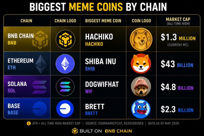 An infographic titled 'BIGGEST MEME COINS BY CHAIN' (Built on BNB Chain, data as of May 2026) listing Hachiko ($1.3M current MC) on BNB Chain, Shiba Inu ($43B ATH) on Ethereum, Dogwifhat ($4.8B) on Solana, and Brett ($2.3B) on Base.