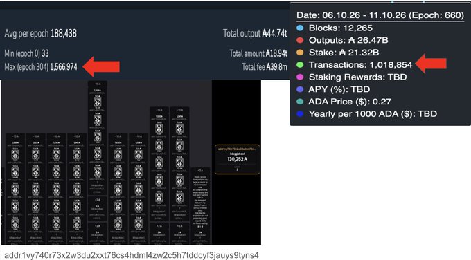 A cryptocurrency dashboard showing stats for ADA, including 'Total amount ₳18.94t', 'Stake: ₳ 21.32B', and 'Transactions: 1,018,854', with two red arrows pointing to specific metrics.