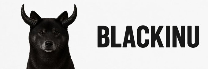 A black dog with horns sits beside bold black text reading "BLACKINU" on a light background, serving as a banner image for the $BLACKINU token on Moby.