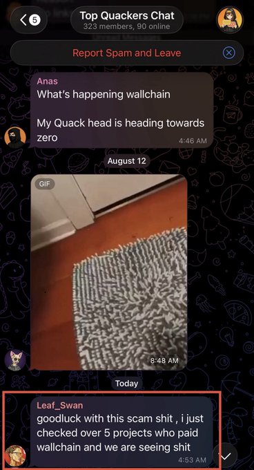 A screenshot of a Telegram chat called "Top Quackers Chat" showing members questioning the Wallchain project, with user Leaf_Swan at 4:53 AM warning that "this scam shit" is happening after checking 5 projects who paid Wallchain, while accompanying memes and complaints about the "Quack head heading towards zero" support claims of a rug pull and unresponsive founders.