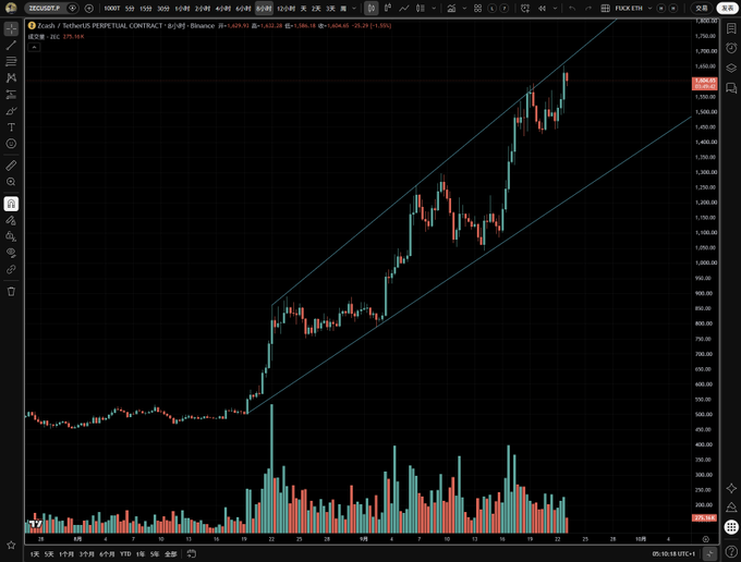 A TradingView chart shows Zcash (ZECUSDT.P) on a 6-hour timeframe, displaying an upward channel pattern with price reaching approximately 1,554 after a strong rally from around 600. The clean technical formation with strong volume confirms the bullish sentiment referenced in the caption praising ZEC's price action.