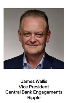 A professional headshot of James Wallis, identified by text below as Vice President of Central Bank Engagements at Ripple.