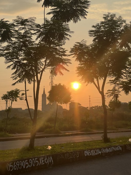 A sunset scene viewed between trees, with the sun low on the horizon, silhouettes of a church spire and buildings, and phone numbers written on a curb in the foreground.