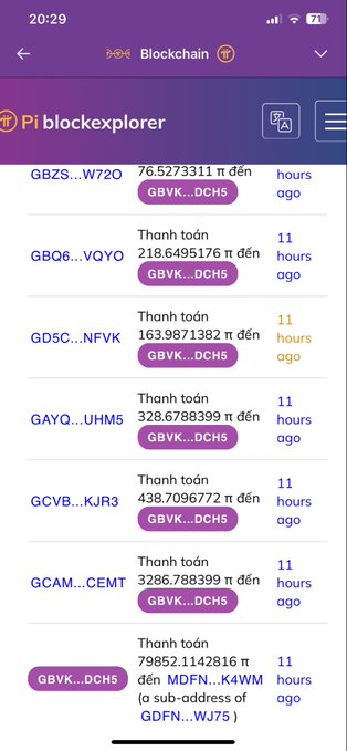 A screenshot of a Pi blockexplorer mobile app showing blockchain transactions in Vietnamese, with transfers of various amounts of π and a timestamp of 11 hours ago.
