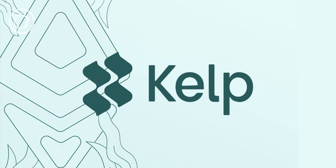 The image features a logo for a company called Kelp, which is a cryptocurrency exchange platform. The logo consists of a blue triangle with white text that reads "Kelp" at the top, followed by a smaller triangle below it with the word "Kelp" written in green letters. Below this, there's an arrow pointing to the right side of the image. In the bottom left corner, there is a small text that says "Si vous avez des eth en prêt sur AAVE v3, retirez-les ASAP". The post also mentions that the exchange will be closed in just over 300 minutes and that it's time to invest now.