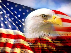 The image features a close-up of an eagle's head, which appears to be looking directly at the camera. The background of the image is a vibrant display of the American flag with stars and stripes, creating a striking contrast against the white eagle's head. Below the eagle, there are words written in black text that read "USAMEME on SOLANA". This combination of elements suggests that the image might be related to an advertisement or promotional material for a product named "USAMEME" or something similar.