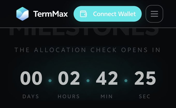 A TermMax website countdown timer showing 'THE ALLOCATION CHECK OPENS IN' with 00 days, 02 hours, 42 minutes, and 25 seconds remaining, alongside a 'Connect Wallet' button.
