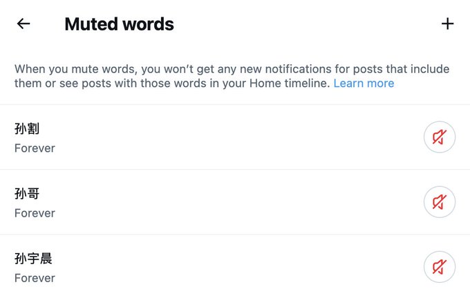 A 'Muted words' settings screen from a social media platform displaying a list of muted Chinese terms (孙割, 孙哥, 孙宇晨) set to mute 'Forever'.