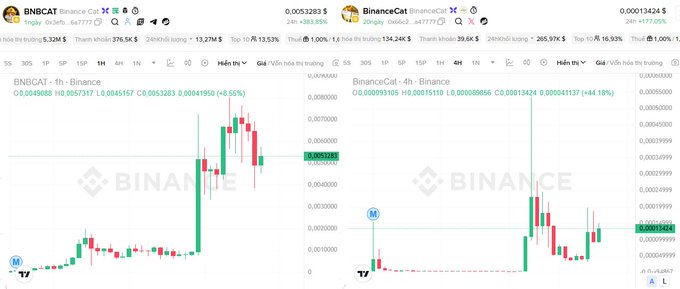 The image displays two TradingView candlestick charts side-by-side from Binance, showing the performance of $BNBCAT (left) with a market cap of 5.32M USD, up 376.5K% in 24h, and BinanceCat (right) with a market cap of 134.24K USD, up 265.7K% in 24h, illustrating the parallel price surges of the two Binance-themed cat meme tokens mentioned in the post.