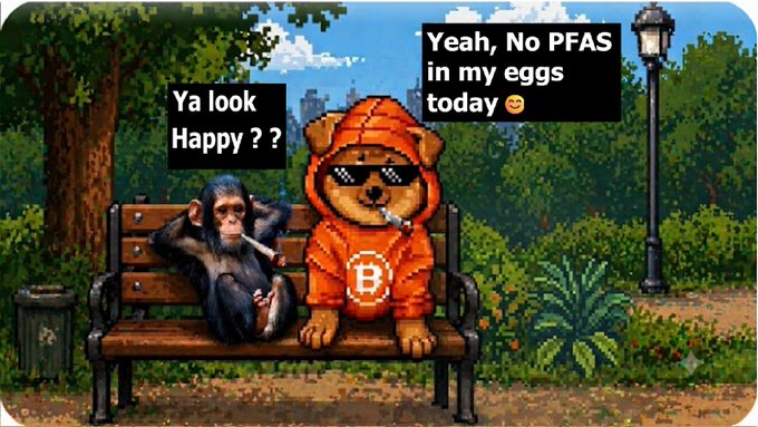 A pixel art meme showing a chimpanzee smoking next to a dog in an orange Bitcoin hoodie wearing sunglasses on a park bench, with speech bubbles saying 'Ya look Happy ??' and 'Yeah, No PFAS in my eggs today 😄'.