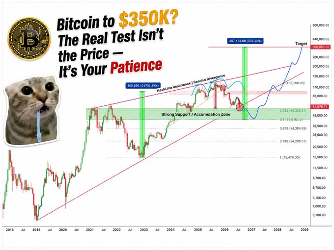 A meme image showing a Bitcoin price chart projecting $350K, with the text 'Bitcoin to $350K? The Real Test Isn't the Price — It's Your Patience' and a crying cat meme with drool, showing support zones and resistance levels from 2018 to 2029.
