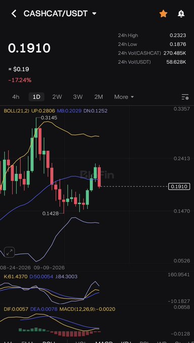 A cryptocurrency trading chart on a mobile app showing the CASHCAT/USDT pair at a price of 0.1910, down 17.24%, with candlestick data, BOLL bands, KDJ, DIF, DEA, and MACD technical indicators visible.