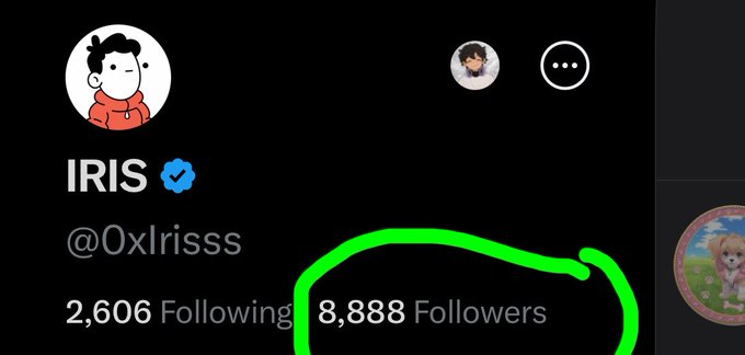 The image shows a social media post with a green circle containing the number "8,881 followers". The post has a cartoon character wearing a red shirt and a pink hat, which are also present in the image. The caption of the post reads, "nobody should follow me this number is aura", indicating that the post is meant to be humorous or satirical.