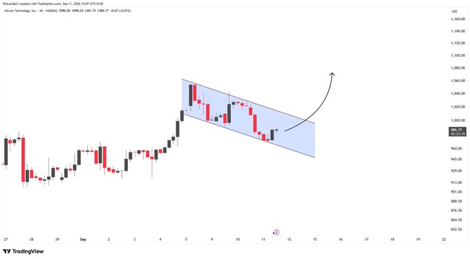 A TradingView candlestick chart for Tesla (TSLD) showing a descending channel pattern with an arrow pointing upward, dated September 2024.