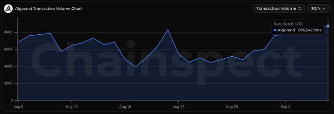 An 'Algorand Transaction Volume Chart' from chainspect shows a 30D trend peaking at '876,542 txns' on Sunday, Sep 6, UTC.