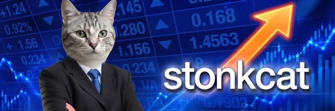 The image shows a cat wearing a suit and tie with crossed arms, set against a stock chart background with an upward orange arrow and the word "stonkcat" displayed prominently. This visual aligns with the post's bullish sentiment about $STONKCAT, as the rising arrow and "Eat the dip" message suggest confidence in a price rebound following a market shakeout.