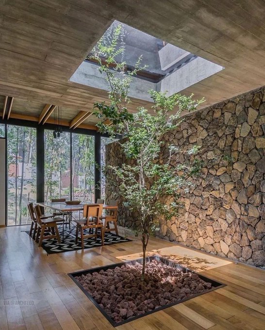 An interior architectural photograph features a modern dining room with a stone wall, wooden dining table and chairs, and a small tree growing from a square planter filled with volcanic rocks in the center, beneath a skylight ceiling.