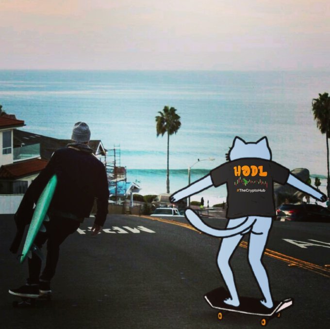 A coastal street scene at sunset showing a surfer walking with a green surfboard while a cartoon cat wearing an orange 'HODL #TheCryptoHub' shirt rides a skateboard alongside him.