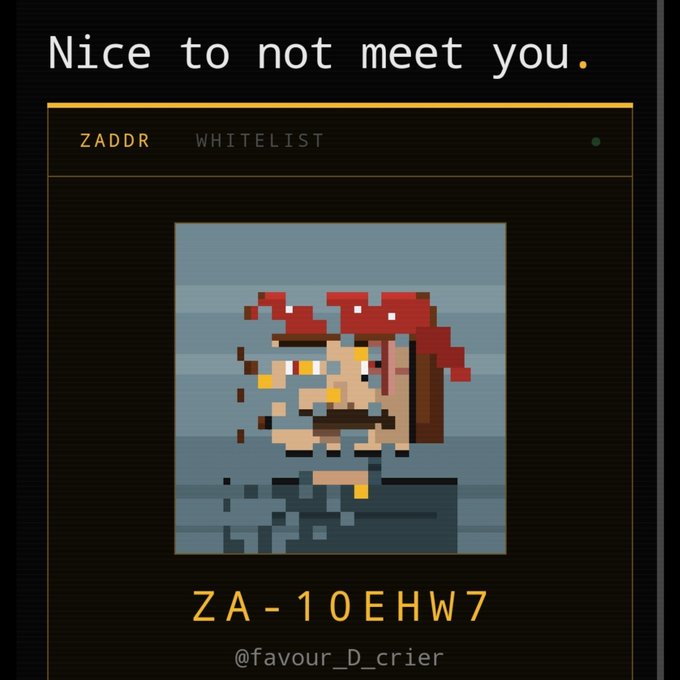 A pixel art image displayed on a 'ZADDR WHITELIST' card with the text 'Nice to not meet you' at the top, showing address 'ZA-10EHW7' and handle '@favour_D_crier' below a red-haired character being struck.