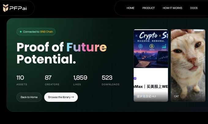 A dark-themed landing page screenshot for 'PFPai' featuring 'Proof of Future Potential' heading, statistics (110 Assets, 87 Creators, 1,859 Likes, 523 Downloads), and a 'Connected to BNB Chain' badge alongside a meme coin preview.