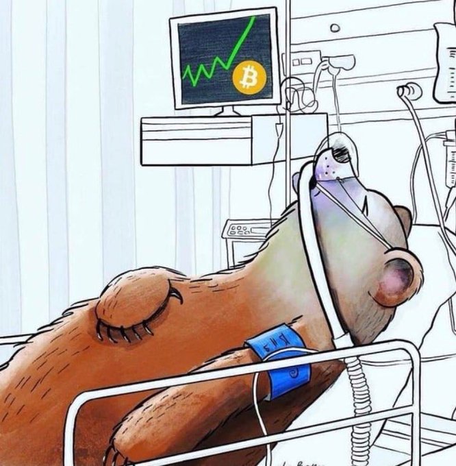 A colored illustration of a sick brown dog lying in a hospital bed wearing an oxygen mask, hooked up to an IV, and watching a computer monitor displaying a rising green Bitcoin price chart.