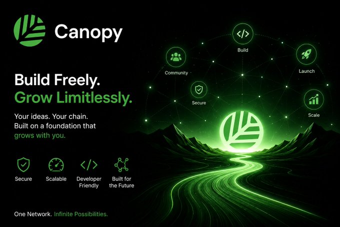 A promotional banner for Canopy (CNPYNetwork) featuring its green leaf logo alongside the tagline "Build Freely. Grow Limitlessly." and "One Network. Infinite Possibilities," with icons highlighting features like Secure, Scalable, Developer Friendly, and Built for the Future—visually reinforcing the post's message about Canopy offering a flexible, scalable Web3 foundation beyond a traditional Layer 1 blockchain.