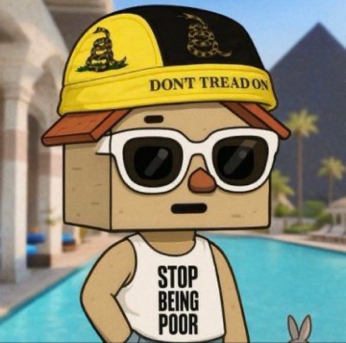 A cartoon character with a cardboard box head, sunglasses, and a Gadsden 'Don't Tread On Me' hat, wearing a tank top that says 'STOP BEING POOR,' set against a backdrop of pyramids and a pool.