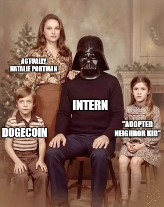 This meme depicts a family posing for a photo, with labels identifying the mother as "ACTUALLY NATALIE PORTMAN," the young son as "DOGECOIN," Darth Vader as "INTERN," and the daughter as "'ADOPTED NEIGHBOR KID'". The post "For reference: " suggests this image is providing context for a discussion about cryptocurrency, specifically Dogecoin.