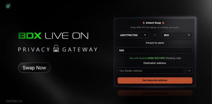 A cryptocurrency swap interface showing 'BDX LIVE ON PRIVACY GATEWAY' with a 'Swap Now' button, allowing exchange between USDT(TRC20) and BDX tokens.